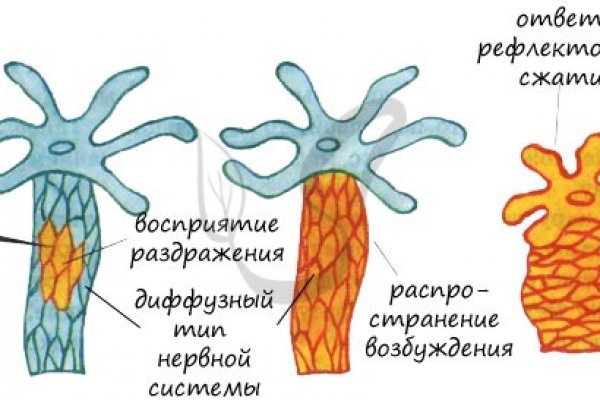 Кракен сс